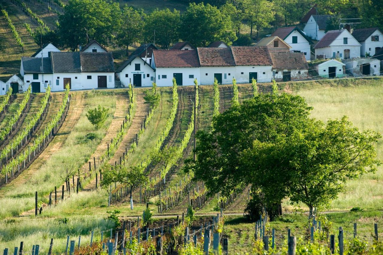 Weinhotel Rieder Poysdorf Exteriör bild